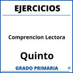 Ejercicios De Comprencion Lectora Para Quinto Grado