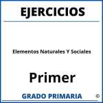 Ejercicios De Elementos Naturales Y Sociales Para Primer Grado