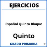 Ejercicios De Español Quinto Bloque Sexto Grado