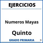 Ejercicios De Numeros Mayas Para Quinto Grado