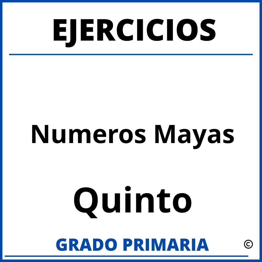 Ejercicios De Numeros Mayas Para Quinto Grado