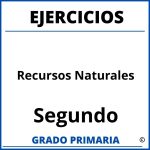 Ejercicios De Recursos Naturales Segundo Grado